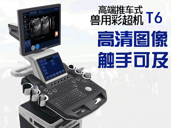 小動物b超機實驗用T6-VET