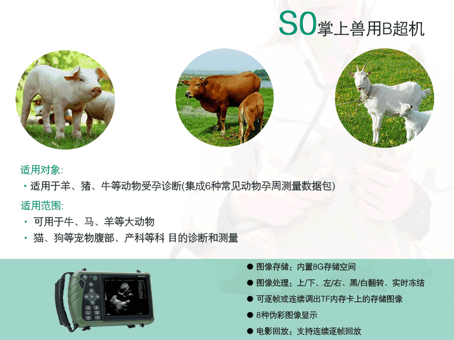S1獸用B超機
