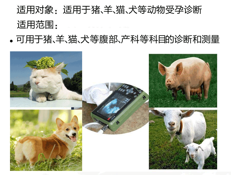 獸用b超機