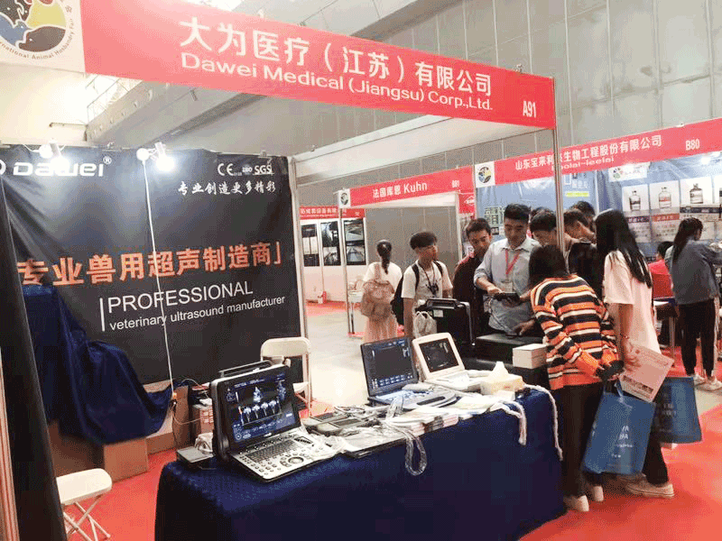 小型獸用b超機