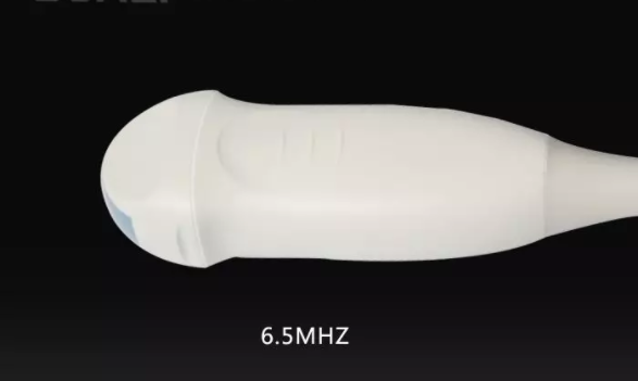 獸用b超探頭