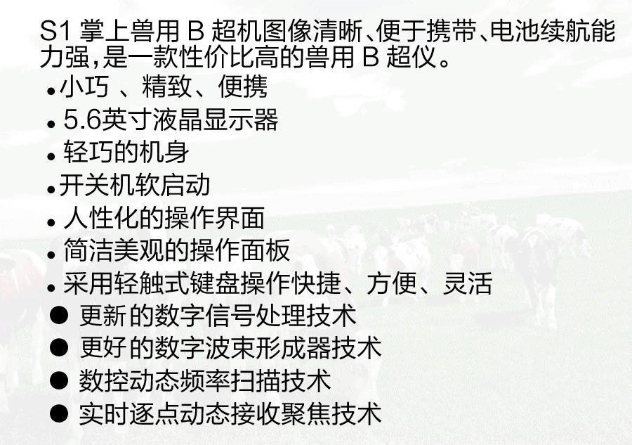 掌上獸用b超機