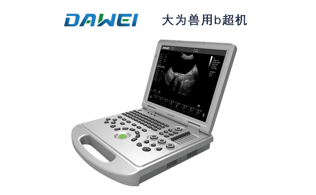 筆記本寵物b超