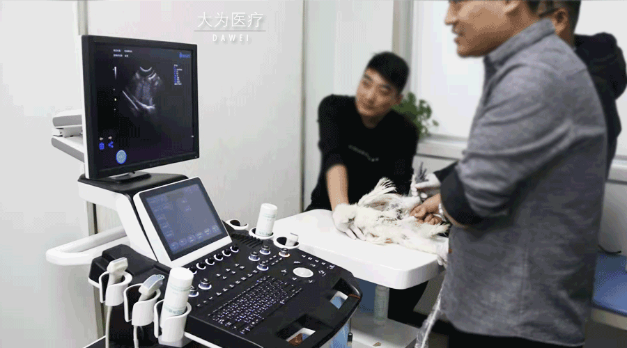 獸用b超機操作圖
