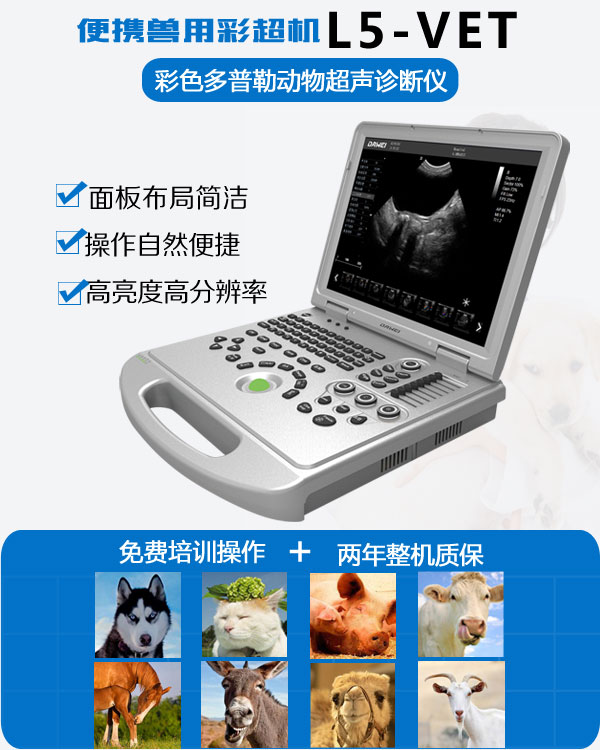 L5-VET筆記本獸用B超機