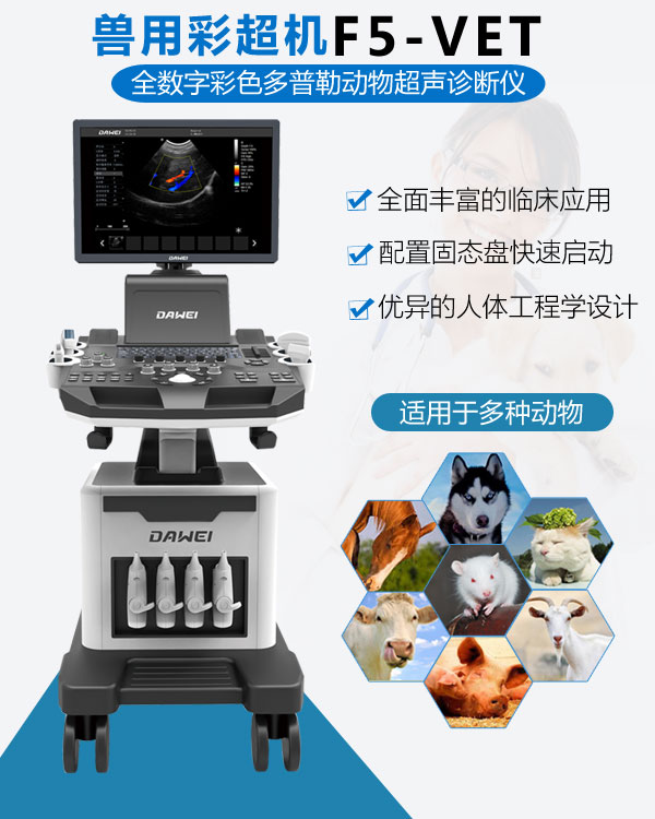 動物彩超機