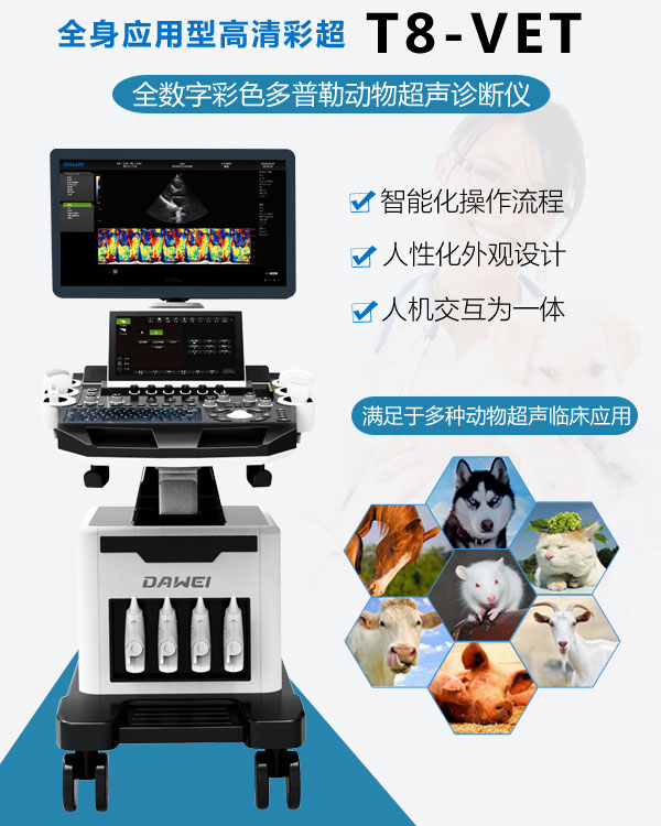 動物B超機T8-VET