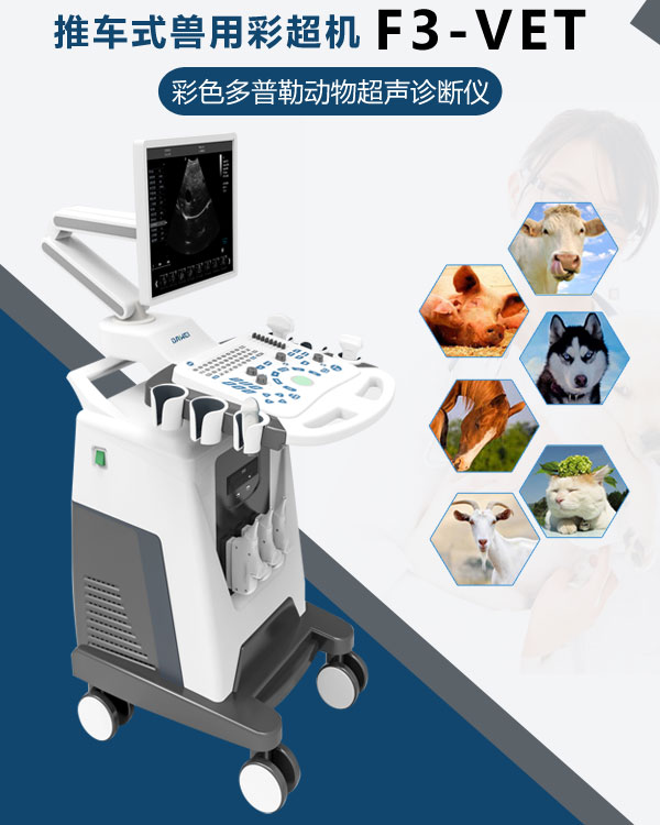 F3-VET獸用彩超機