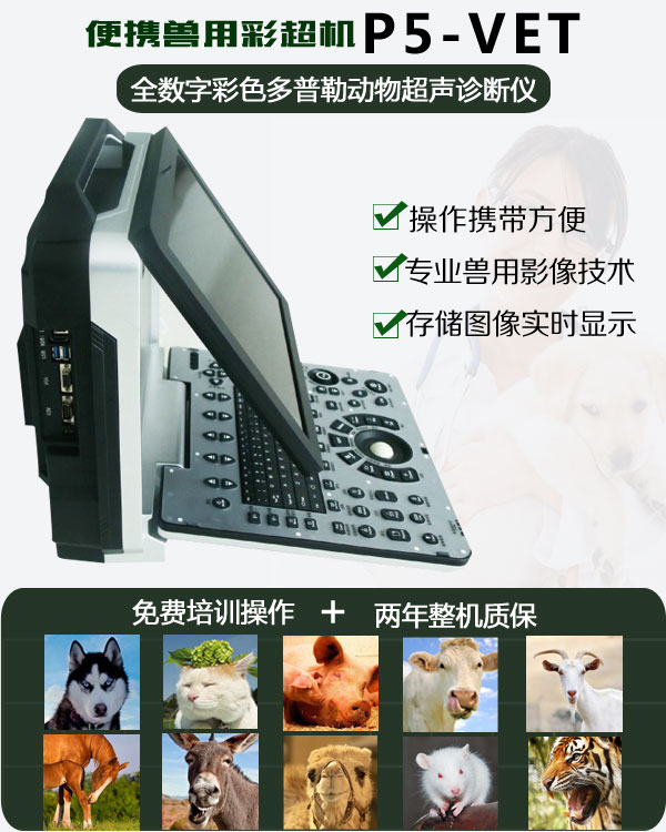 高清獸用彩超機P5-VET
