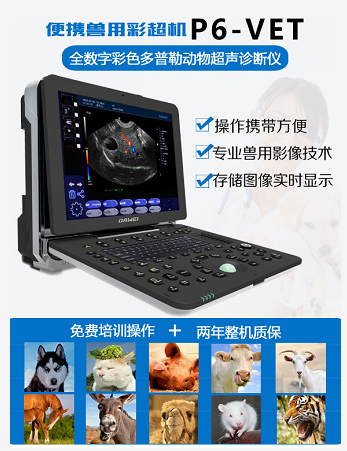 便攜式獸用b超儀