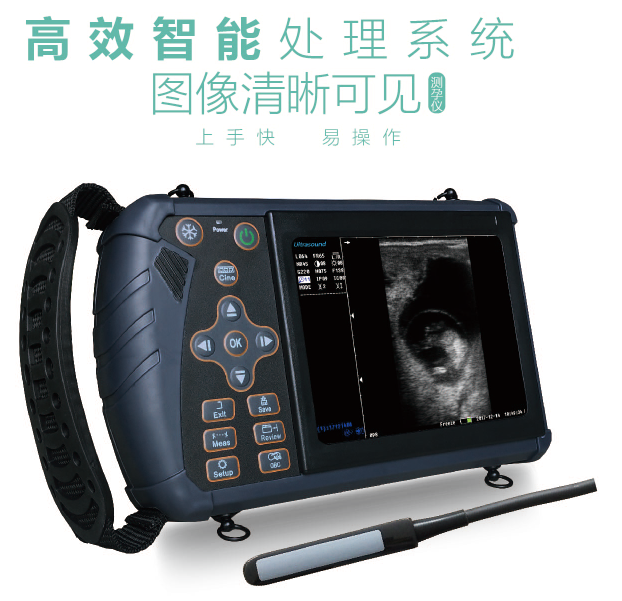 獸用小型b超機