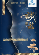 <strong>寵物超聲培訓(xùn)課開(kāi)始啦，11月16日相約山西</strong>